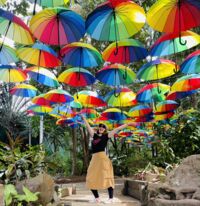 IMG_3036.JPG Thumbnail